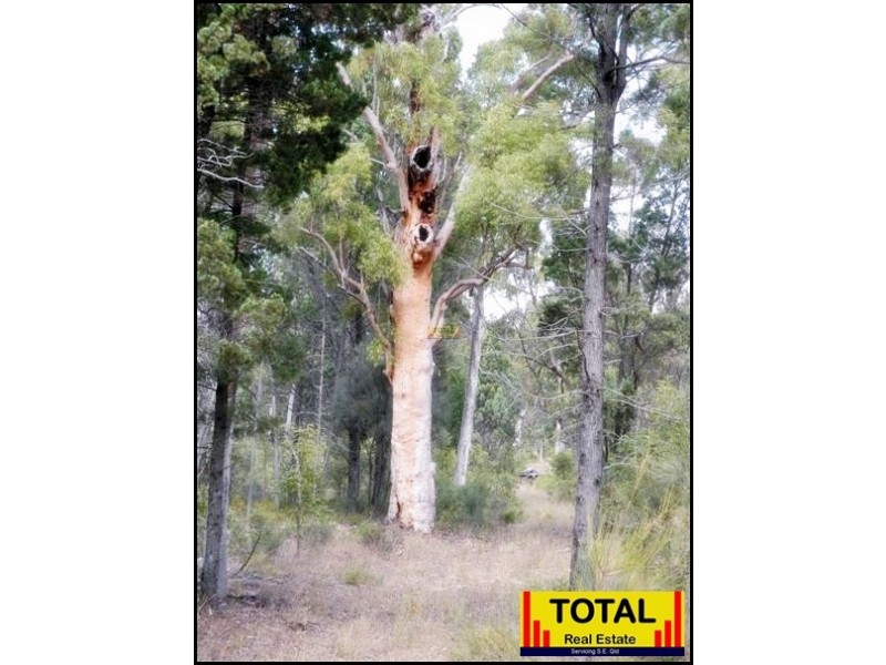 Lot 28 Flamingo Road, Millmerran QLD 4357