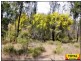 Lot 28 Flamingo Road, Millmerran QLD 4357