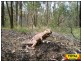Lot 48 Flamingo Road, Millmerran QLD 4357