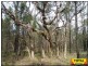 Lot 48 Flamingo Road, Millmerran QLD 4357
