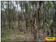 Lot 48 Flamingo Road, Millmerran QLD 4357