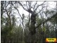 Lot 48 Flamingo Road, Millmerran QLD 4357