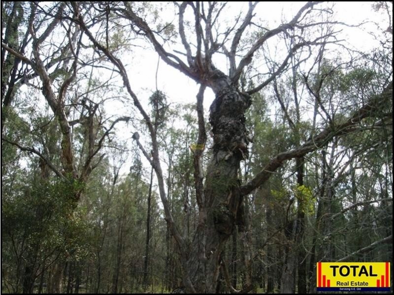 Lot 48 Flamingo Road, Millmerran QLD 4357
