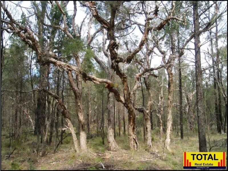 Lot 48 Flamingo Road, Millmerran QLD 4357