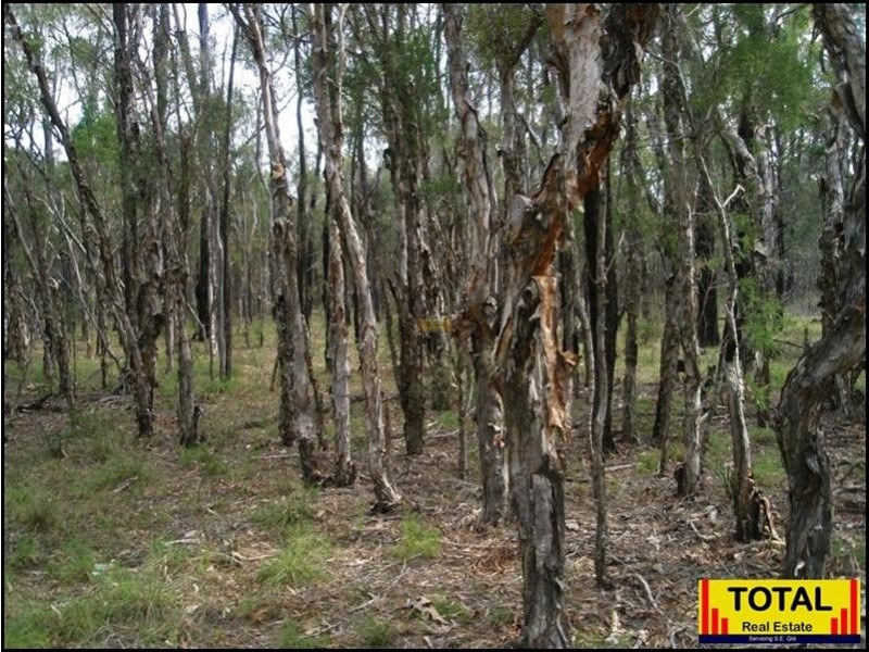 Lot 48 Flamingo Road, Millmerran QLD 4357