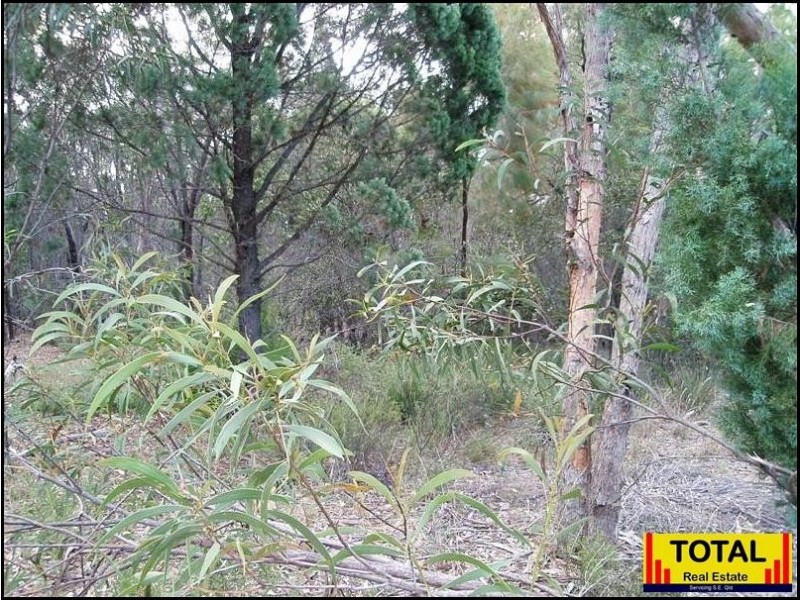 Lot 43 Pine Road, Millmerran Woods QLD 4357