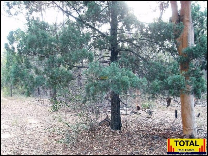 Lot 43 Pine Road, Millmerran Woods QLD 4357