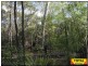 Lot 43 Pine Road, Millmerran Woods QLD 4357