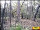 Lot 43 Pine Road, Millmerran Woods QLD 4357