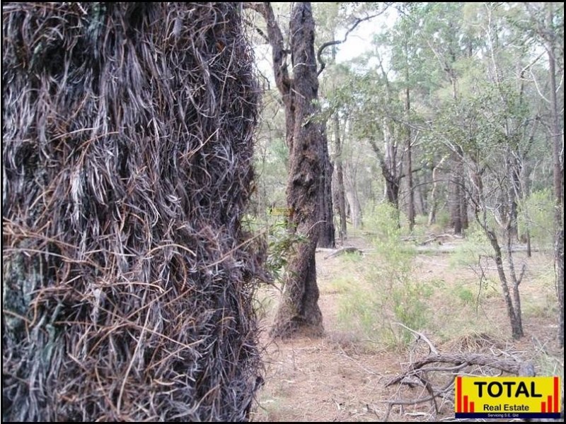 Lot 43 Pine Road, Millmerran QLD 4357