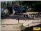 11 Camellia Court, Millmerran QLD 4357