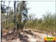 Forest Ridge QLD 4357