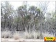 Lot 33 Cabbage Gum, Millmerran Woods QLD 4357
