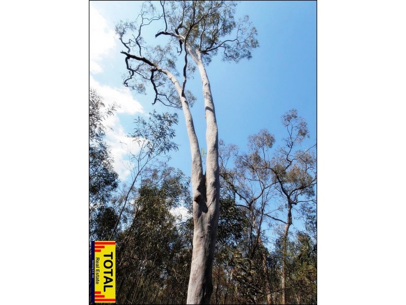 lot 33 Cabbage Gum, Millmerran Woods QLD 4357