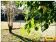 138 Hardwood Road, Landsborough QLD 4550