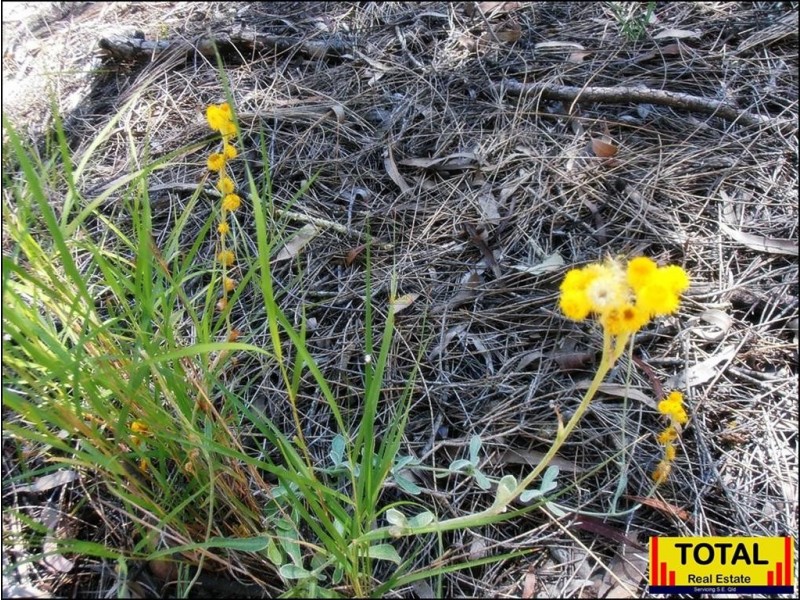 lot35 Belar Court Millmerran Woods, Millmerran QLD 4357