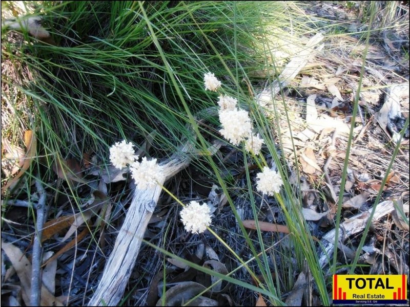 lot35 Belar Court Millmerran Woods, Millmerran QLD 4357