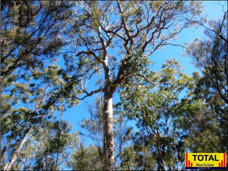 lot35 Belar Court Millmerran Woods, Millmerran QLD 4357
