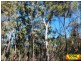 lot35 Belar Court Millmerran Woods, Millmerran QLD 4357