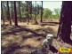 Lot 660 Arbortwentyfour Road, Glenwood QLD 4570