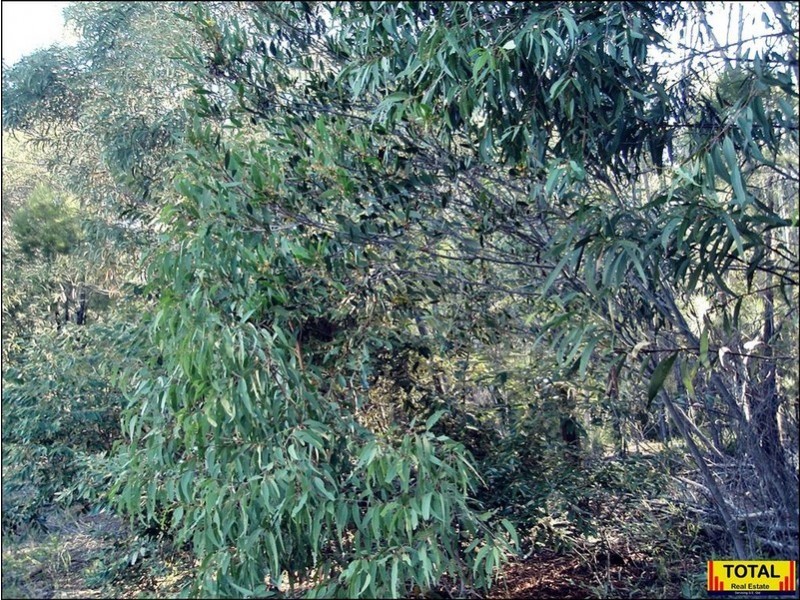 15 Belar, Millmerran Woods QLD 4357
