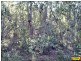 15 Belar, Millmerran Woods QLD 4357