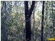 15 Belar, Millmerran Woods QLD 4357