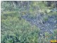 15 Belar, Millmerran Woods QLD 4357