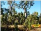 Lot 15 Goondiwindi-Millmerran Hwy, Condamine Farms QLD 4357
