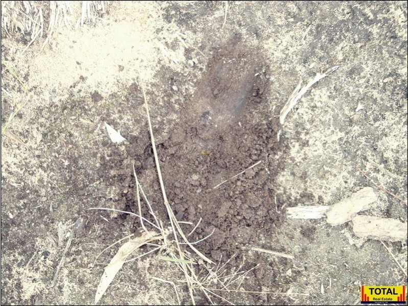 30 Millmerran Woods Road, Millmerran Woods QLD 4357