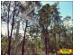 Lot 29 Flamingo Rd, The Pines, Millmerran QLD 4357