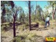 Lot 29 Flamingo Rd, The Pines, Millmerran QLD 4357