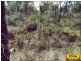 Lot 29 Flamingo Rd, The Pines, Millmerran QLD 4357