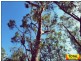 Lot 29 Flamingo Rd, The Pines, Millmerran QLD 4357
