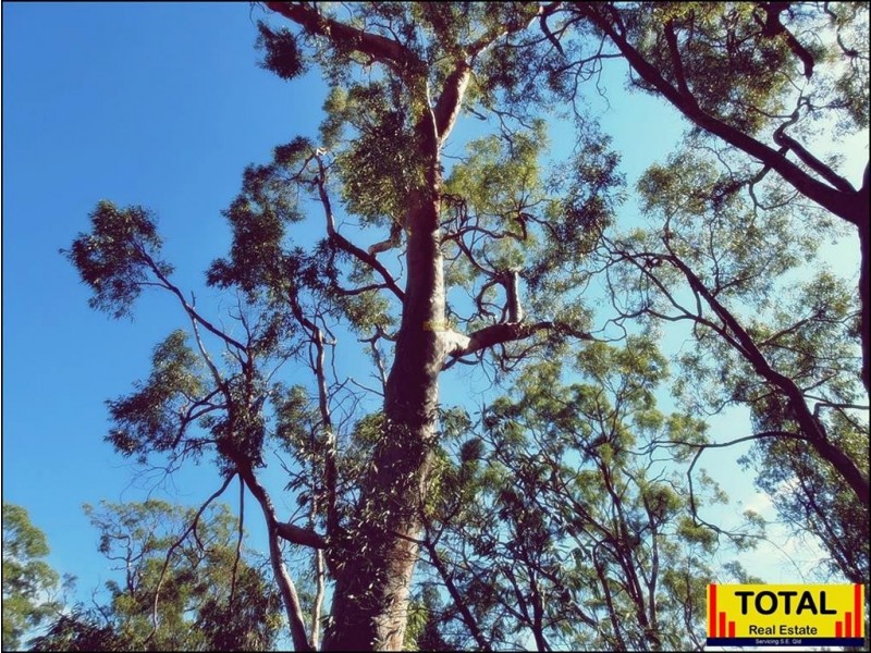 Lot 29 Flamingo Rd, The Pines, Millmerran QLD 4357