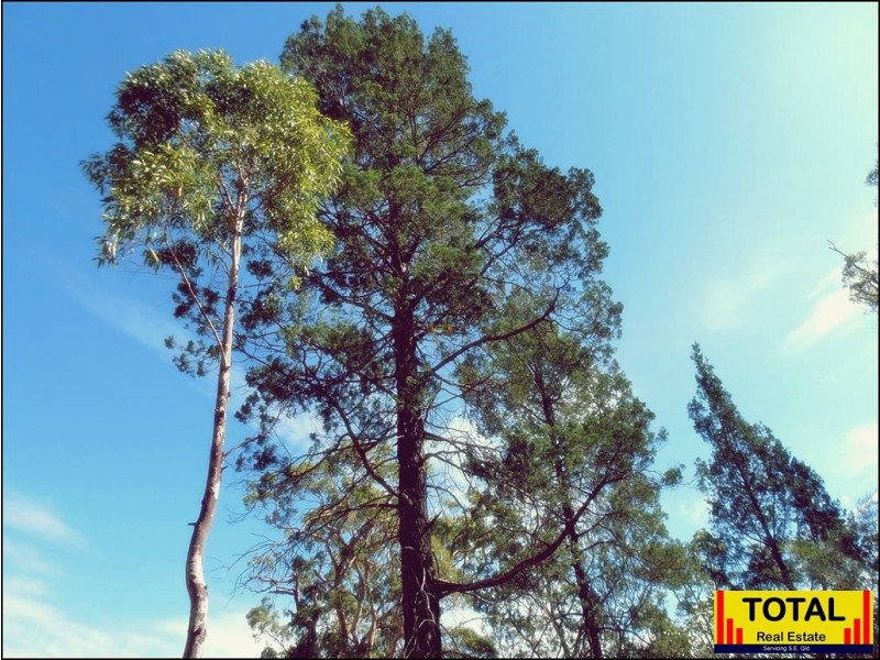 Lot 29 Flamingo Rd, The Pines, Millmerran QLD 4357