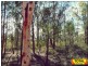 Lot 29 Flamingo Rd, The Pines, Millmerran QLD 4357