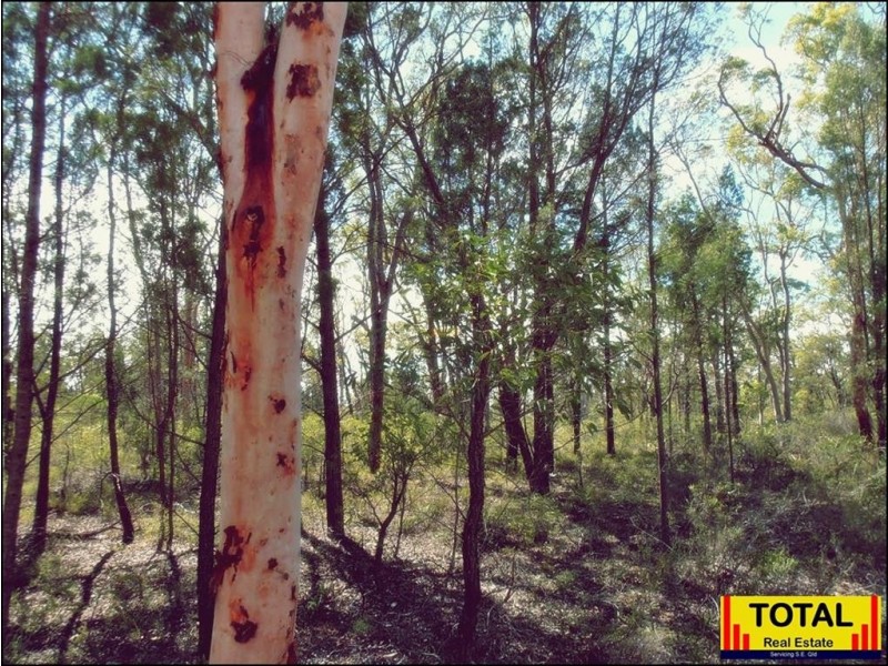 Lot 29 Flamingo Rd, The Pines, Millmerran QLD 4357