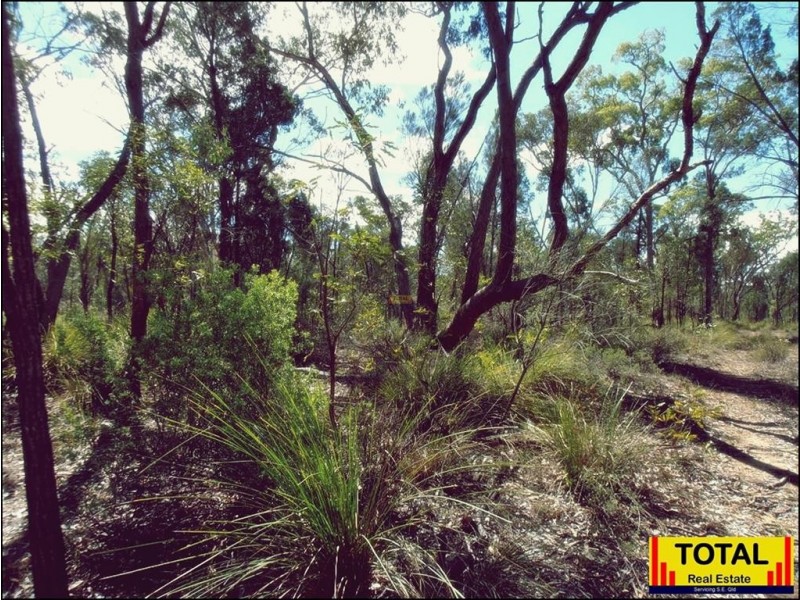 Lot 29 Flamingo Rd, The Pines, Millmerran QLD 4357