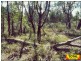 Lot 29 Flamingo Rd, The Pines, Millmerran QLD 4357