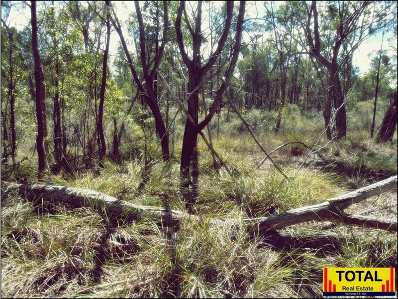 Lot 29 Flamingo Rd, The Pines, Millmerran QLD 4357