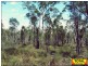 Lot 29 Flamingo Rd, The Pines, Millmerran QLD 4357