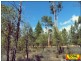 Lot 29 Flamingo Rd, The Pines, Millmerran QLD 4357
