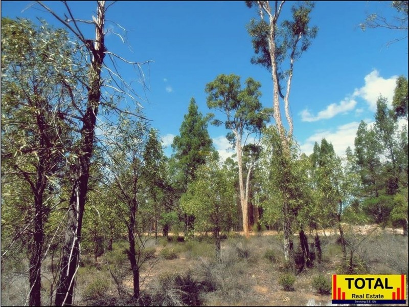 Lot 29 Flamingo Rd, The Pines, Millmerran QLD 4357