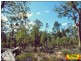 Lot 29 Flamingo Rd, The Pines, Millmerran QLD 4357