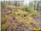LOT 54 Wattle Court, Millmerran Woods QLD 4357