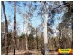 33 Cabbage Gum, Millmerran Woods QLD 4357
