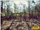 Lot 13 Thyme rd, Forest Ridge QLD 4357
