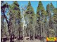 lot 4 Ayers Rock Rd, Cypress Gardens QLD 4357
