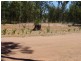 Millmerran QLD 4357